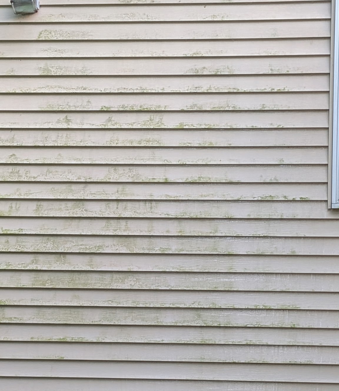 Before pressure washing image showing dirty concrete