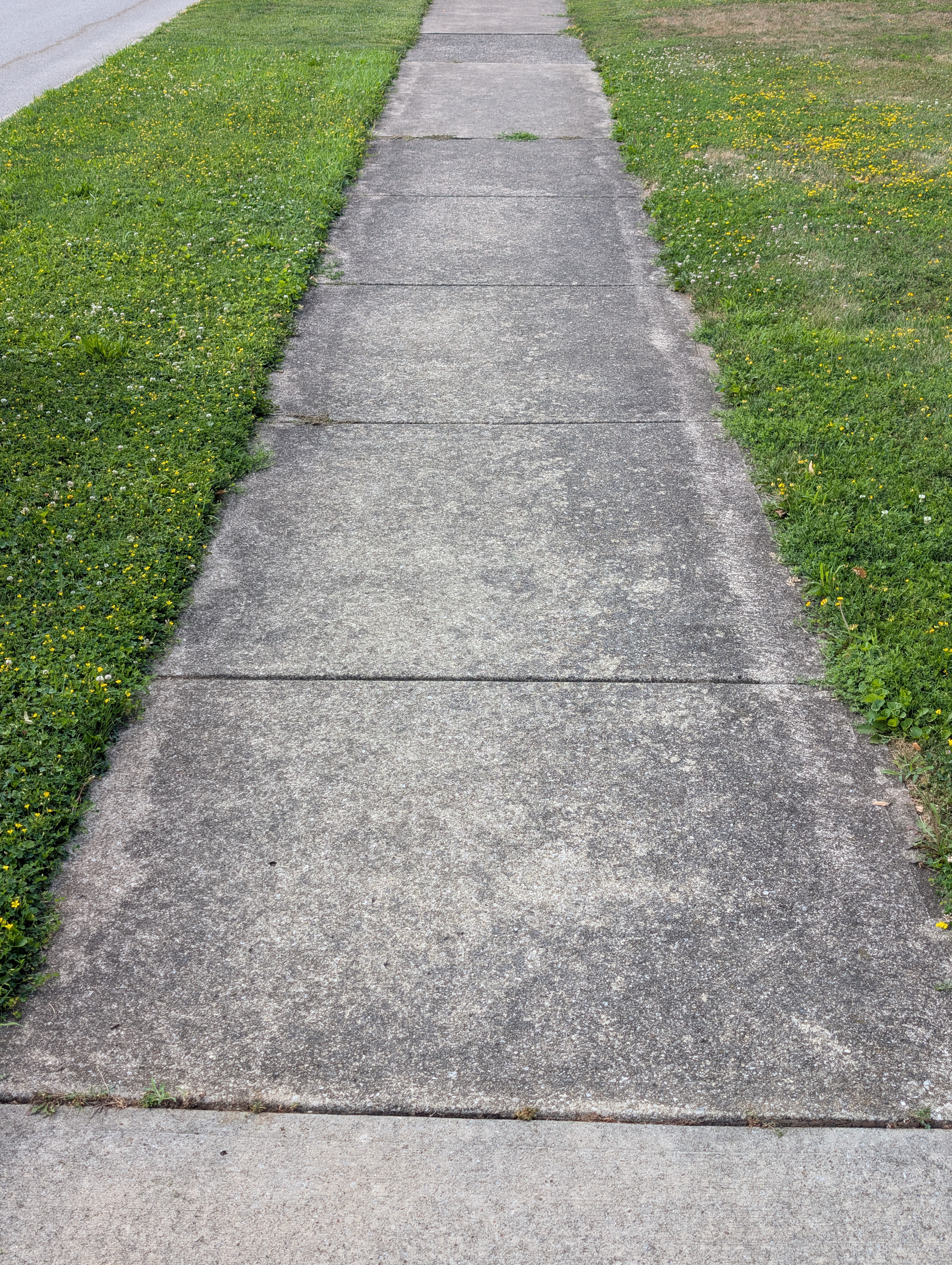 Additional before pressure washing image